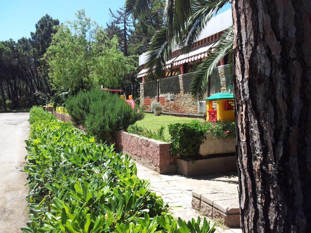 Hotel Grifone Principina a Mare Esterno foto