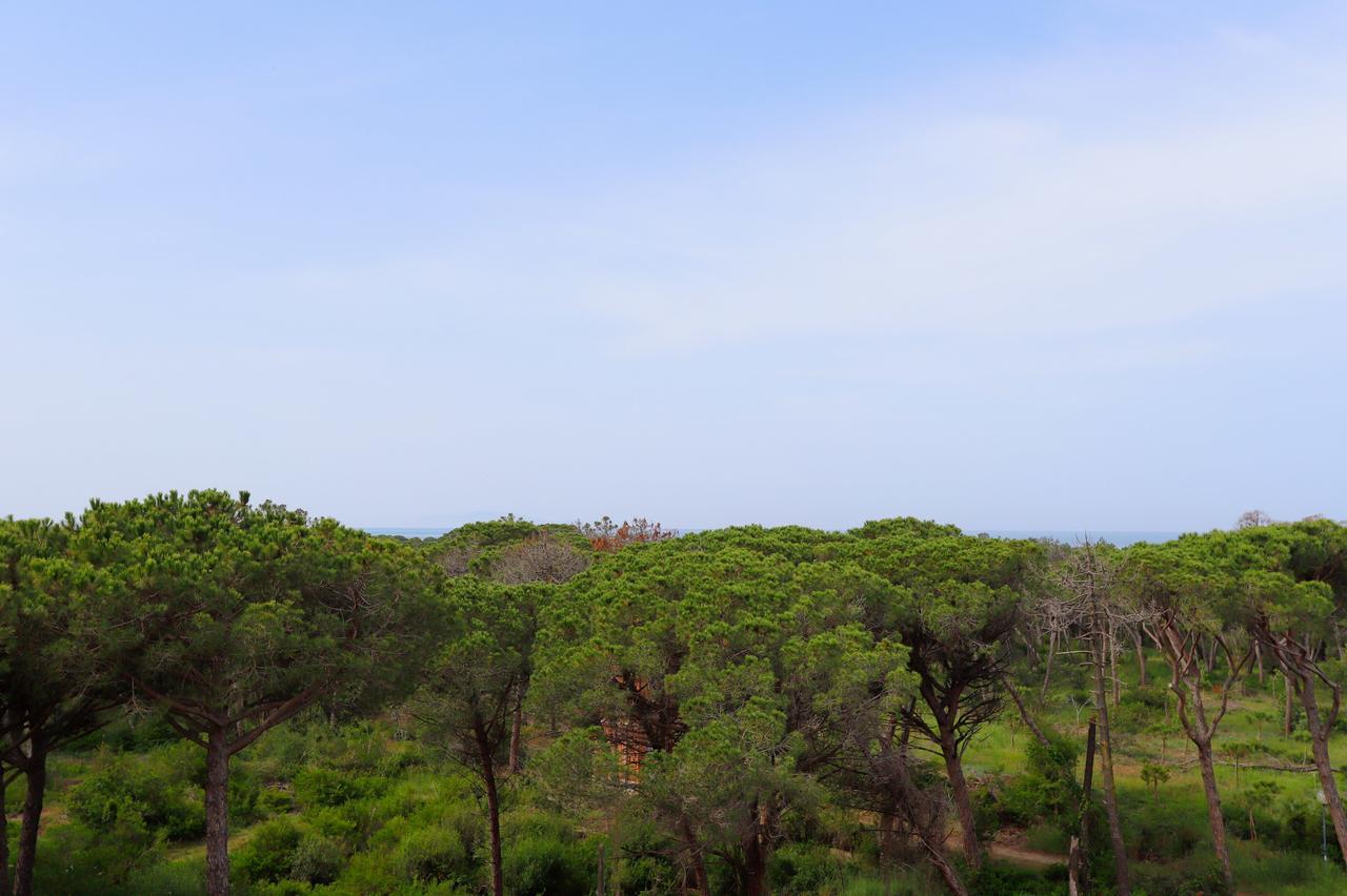Hotel Grifone Principina a Mare Esterno foto